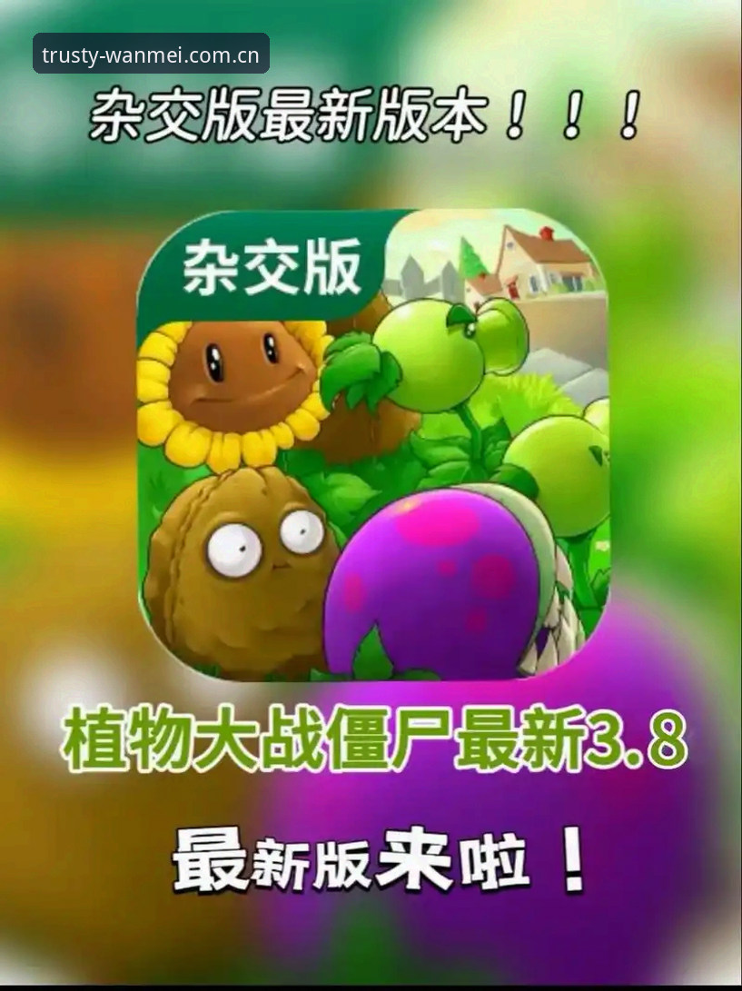 完美体育安卓版教程：从下载到安装的实用指南